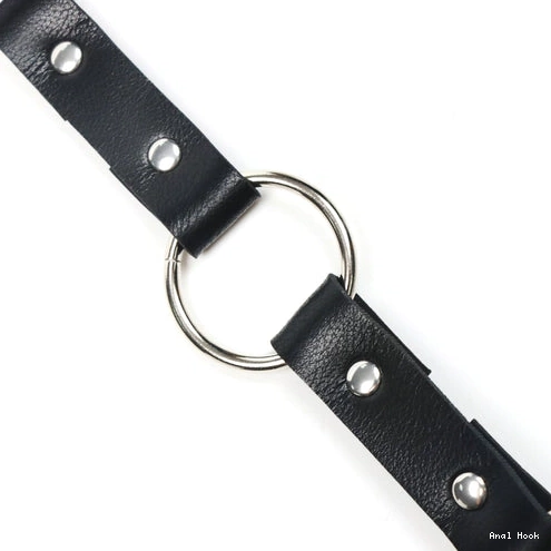 Anal Collar 5853 with EverydayUse Kinky and Leash Hook 0908